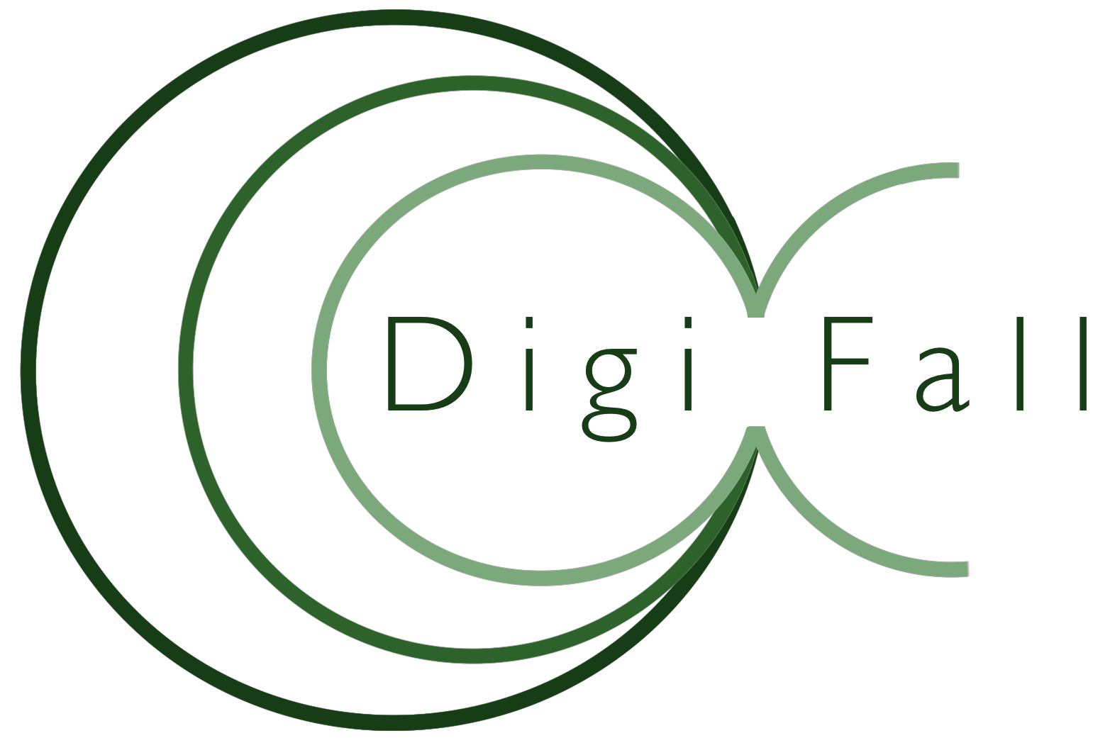 DigiFall Logo